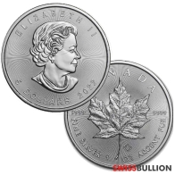 Monster Box - 2022 Silver Canadian Maple Leafs