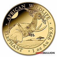 Moneda de oro Elefante Somalí de 1 onza 2023
