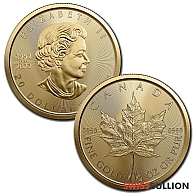 1/2 Ounce 2023 Maple Leaf Gold Coin