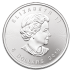 1 Ounce Silver Maple Leaf Coin