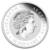 1 kg Kookaburra - Silver - 2016
