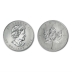1 Ounce Palladium Maple Leaf Coin