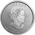 1 Ounce 2018 Silver Maple Leaf Coin