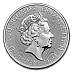 1 Ounce Queen's Beasts Platinum Coin - Griffin Series