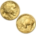1 Ounce 2019 Gold American Buffalo