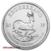 Tube of 25 x 1 Ounce 2019 Silver Krugerrand Coin