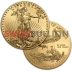 Monster Box - 1 Ounce 2020 Gold American Eagle