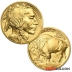 1 Ounce 2021 Gold American Buffalo