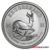 25 x 1 Ounce Krugerrand Silver Coins