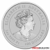 1 Ounce 2022 Platinum Year of the Tiger Coin