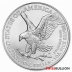 Monster Box, 1 Ounce 2022 Silver American Eagle Coin - 500 Coins