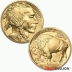 20 x 1 Ounce 2022 Gold Buffalo Coins