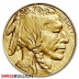 1 Ounce 2024 American Buffalo Gold Coin
