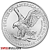 Tube of 20 x 1 Ounce 2025 Silver American Eagle Coin